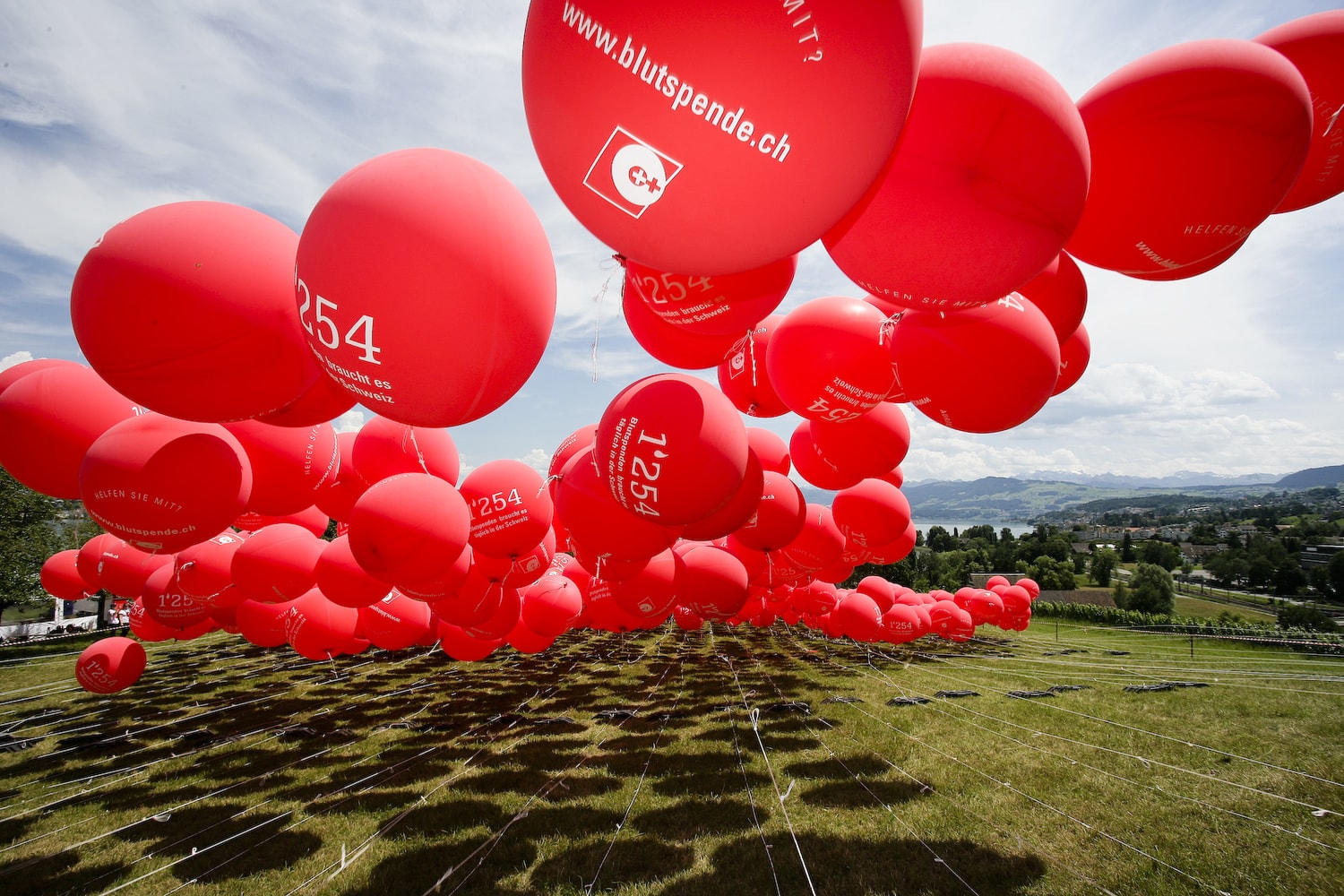 Palloncini stampati